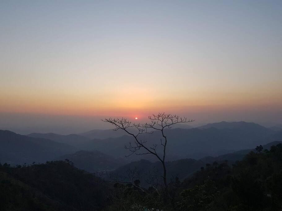 Kasauli Cascade A Cheerfull 4 Bedroom Challet Exterior foto